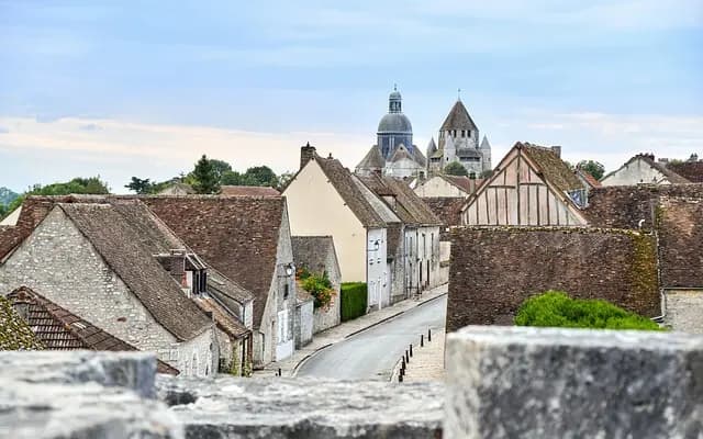 10 Erreurs à Éviter dans la Gestion des Cultures