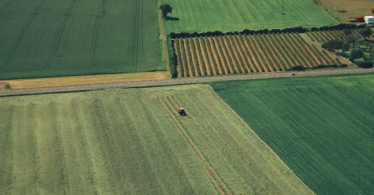 Importance de la Surveillance des Cultures Pour un Rendement Optimal
