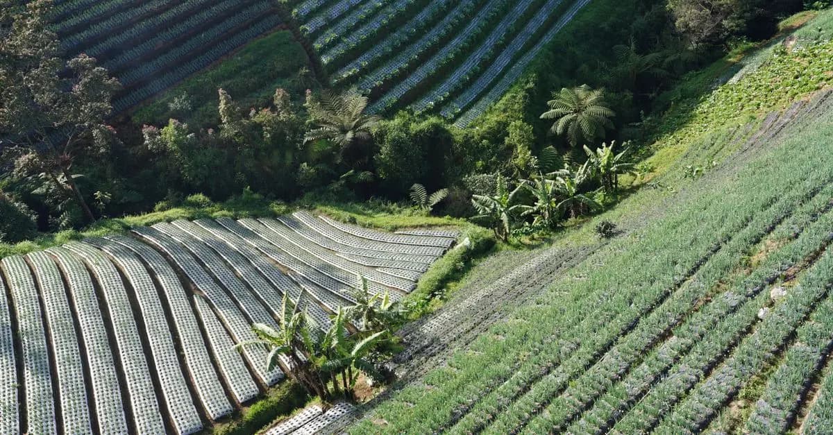 L'importance de la Planification Agricole pour vos Cultures