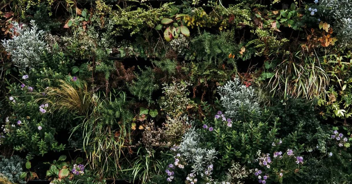 Comment prévenir les maladies des plantes naturellement