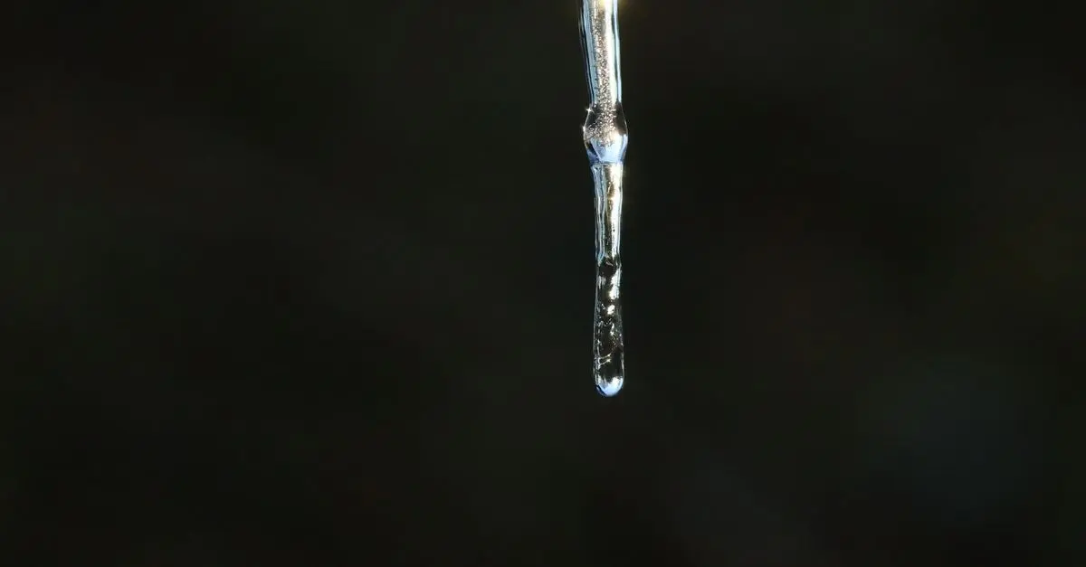 Guide pour choisir le meilleur système d'irrigation goutte-à-goutte