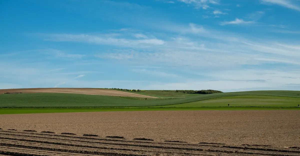 Comment Améliorer la Gestion des Cultures avec l'Analyse de Sol