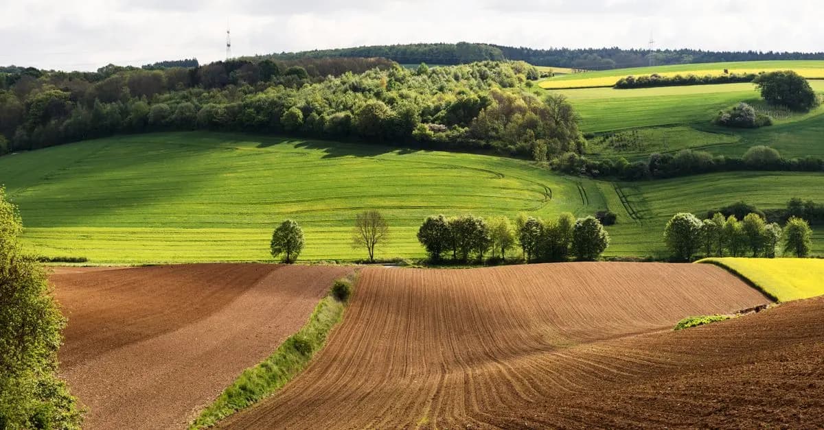Analyse des tendances agricoles pour les cultures vivrières