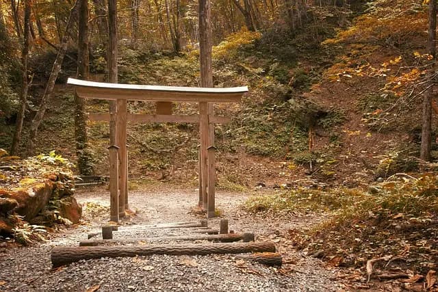 Guide pratique pour l'intégration des cultures de couverture