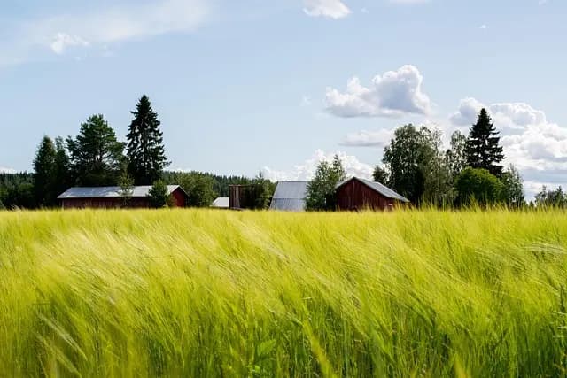 Comment Évaluer l'Impact des Méthodes de Culture sur le Sol