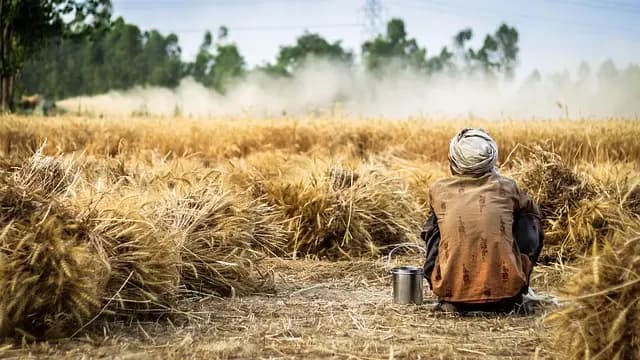 Comment Mettre en Place une Gestion Précise des Cultures