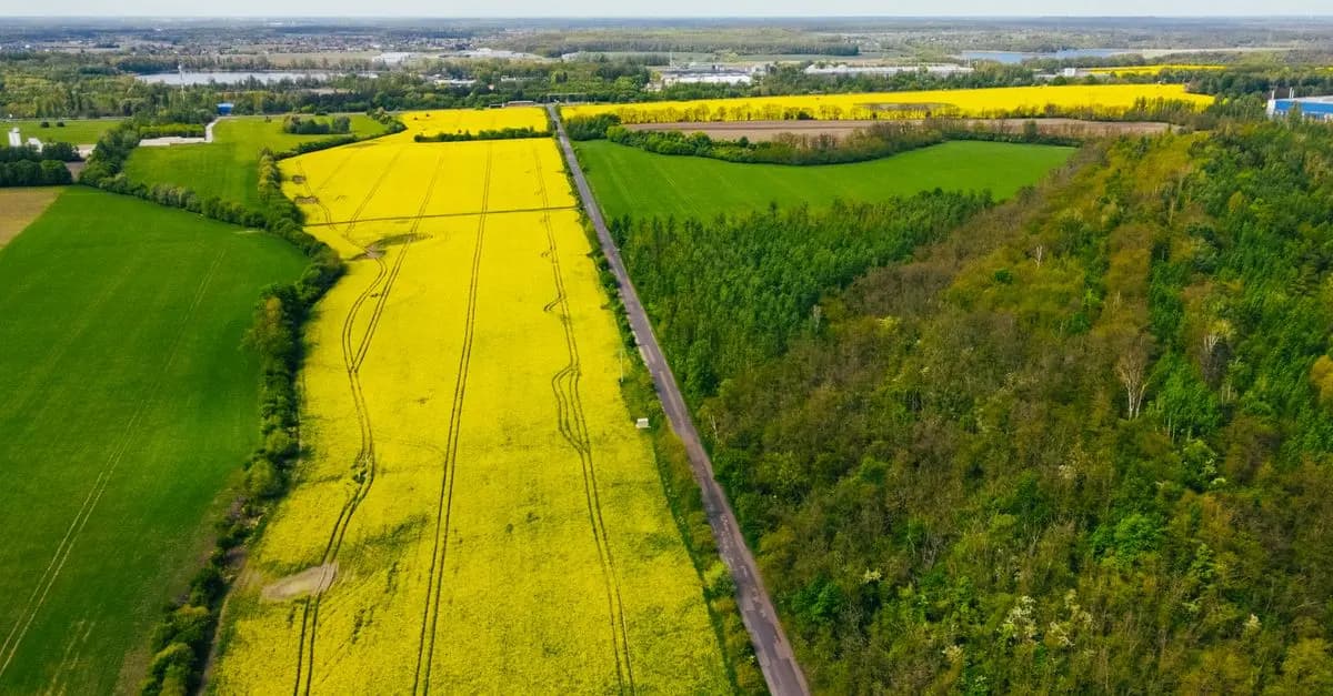 Comment Réussir l'Intégration des Cultures de Couverture