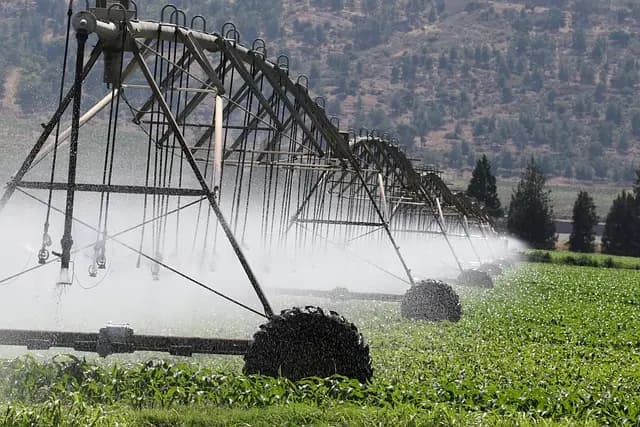 Comment Évaluer l'Hydratation de Vos Cultures Efficacement