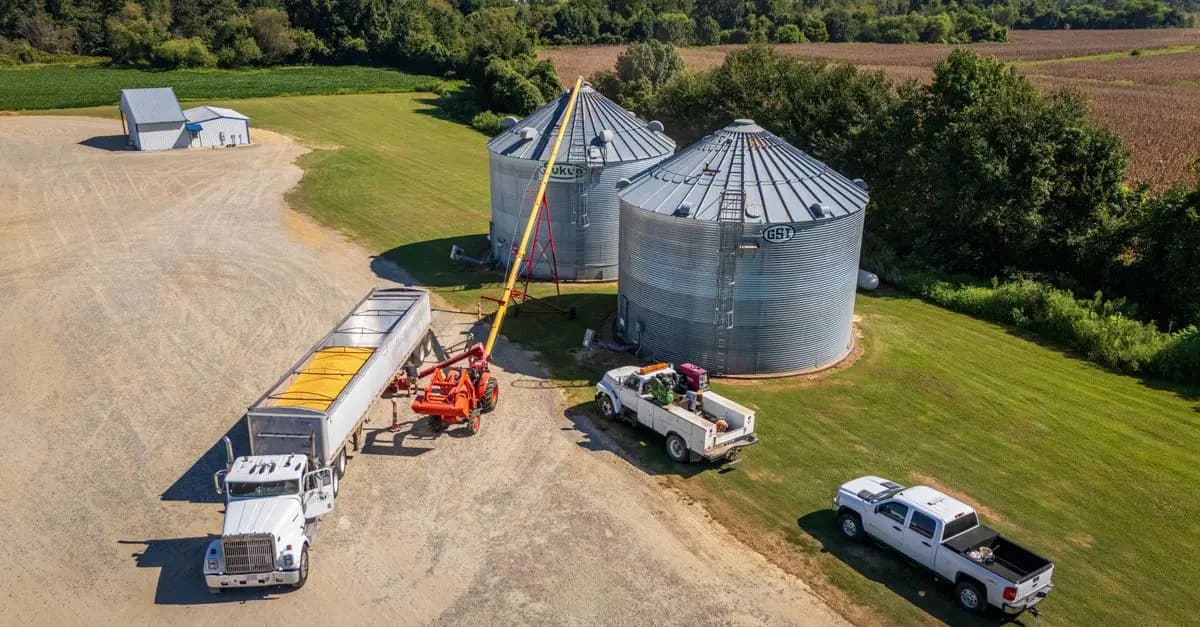 Impact des maladies des plantes sur le rendement agricole