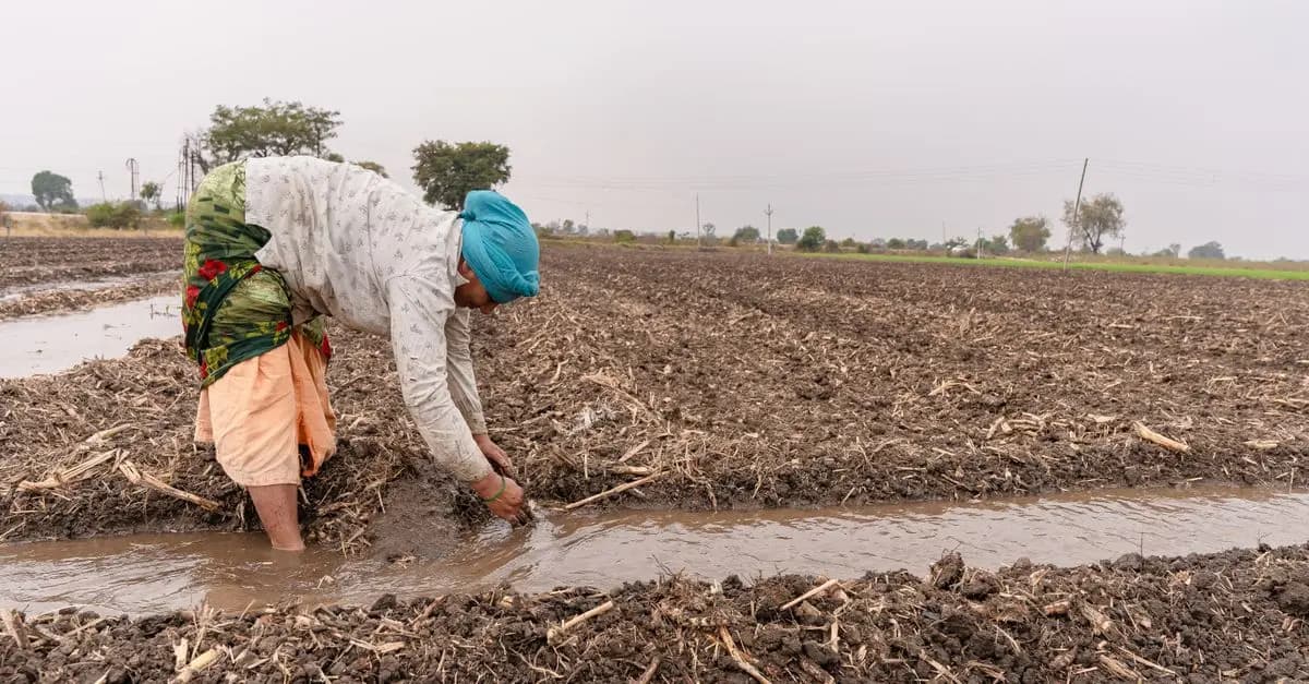 Comment Gérer l'Irrigation de vos Cultures de Manière Efficace