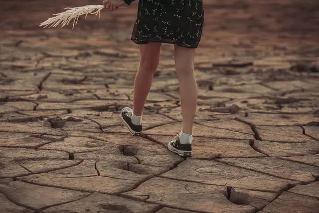 Comment Évaluer l'Impact des Changements Climatiques sur vos Cultures
