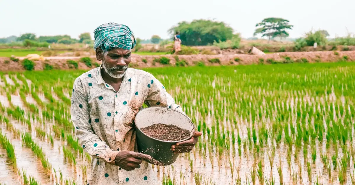 Les Meilleures Pratiques pour la Gestion des Cultures