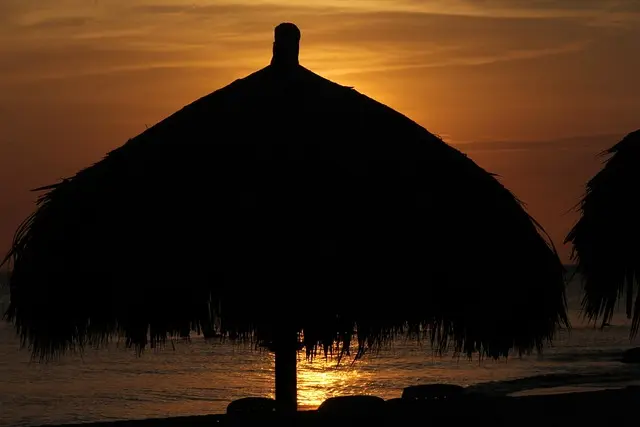 Les Techniques de Conservation des Sols pour vos Cultures