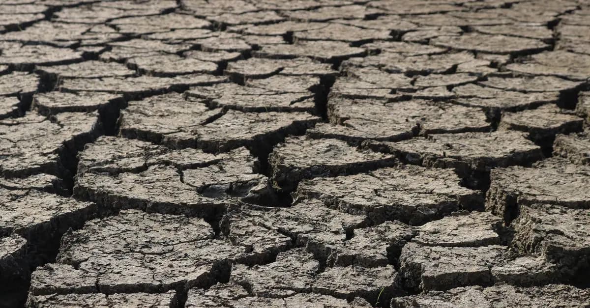 Comment Évaluer L'Impact Des Changements Climatiques Sur Vos Cultures