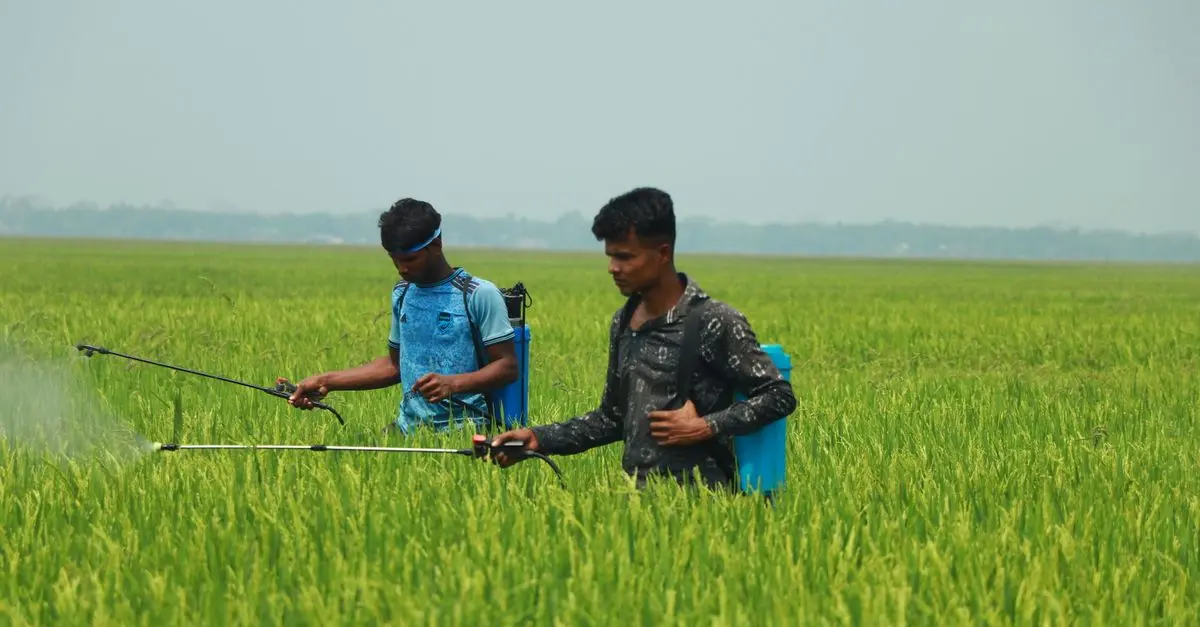 Guide complet sur l'utilisation des biopesticides