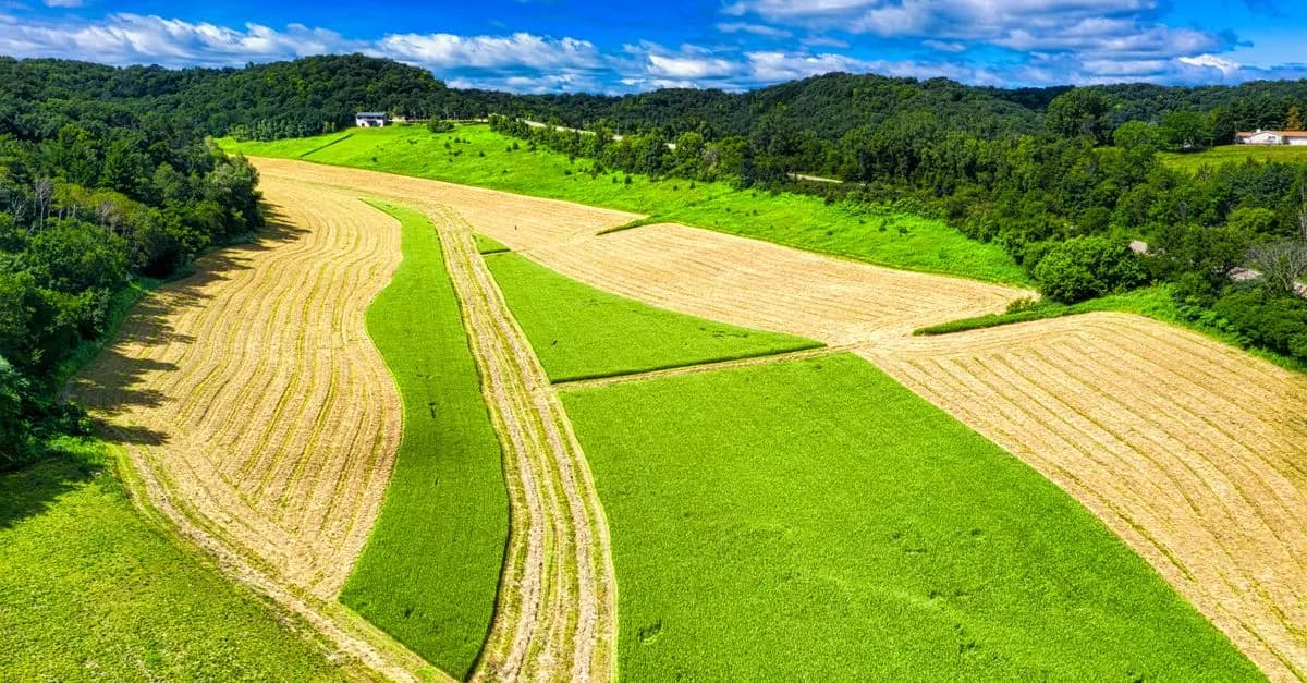 Évaluer l'Impact des Cultures de Couverture sur le Sol