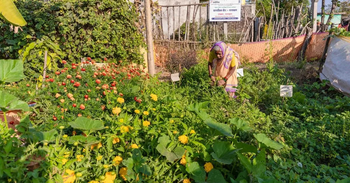 Les Meilleures Pratiques de Fertilisation Écologique pour vos Cultures
