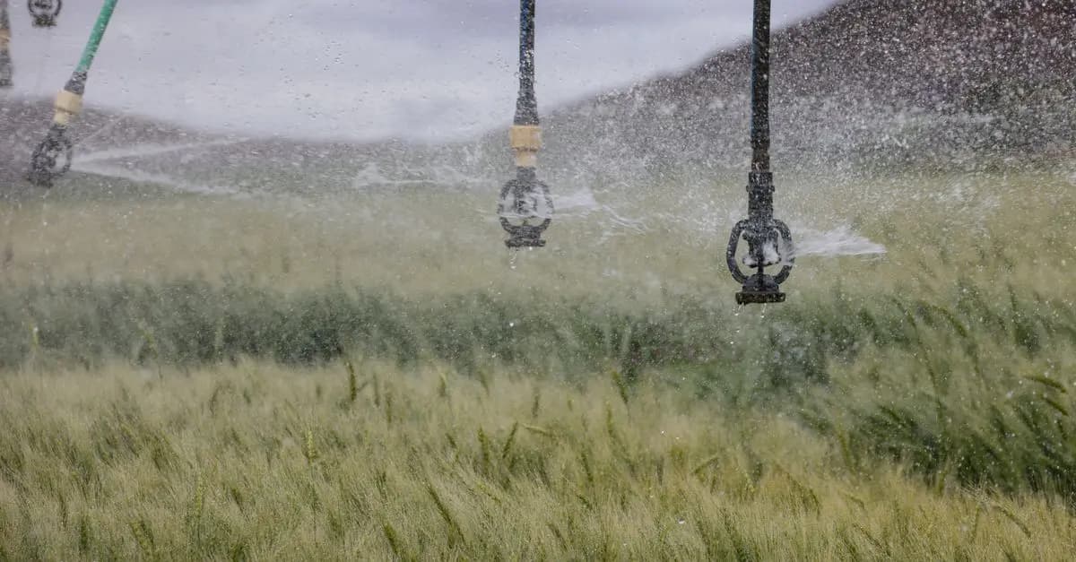 Analyse complète de l'agriculture de conservation