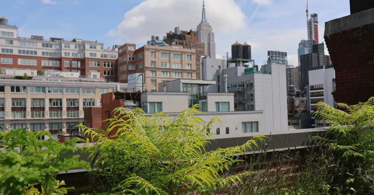 Guide pour débuter en agriculture urbaine