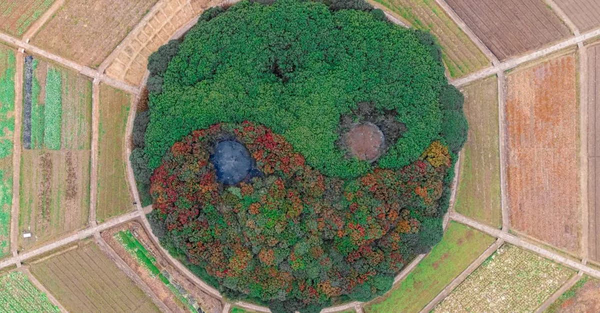 Comment fonctionne la permaculture en agriculture