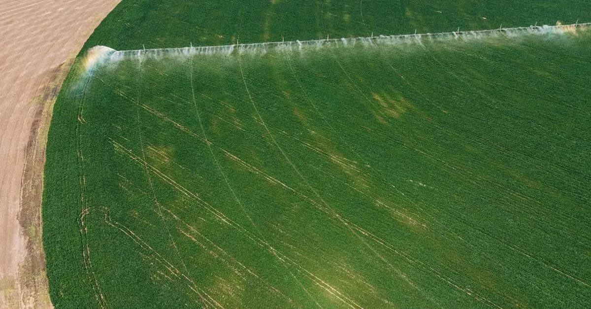 Comparatif des systèmes d'arrosage agricole