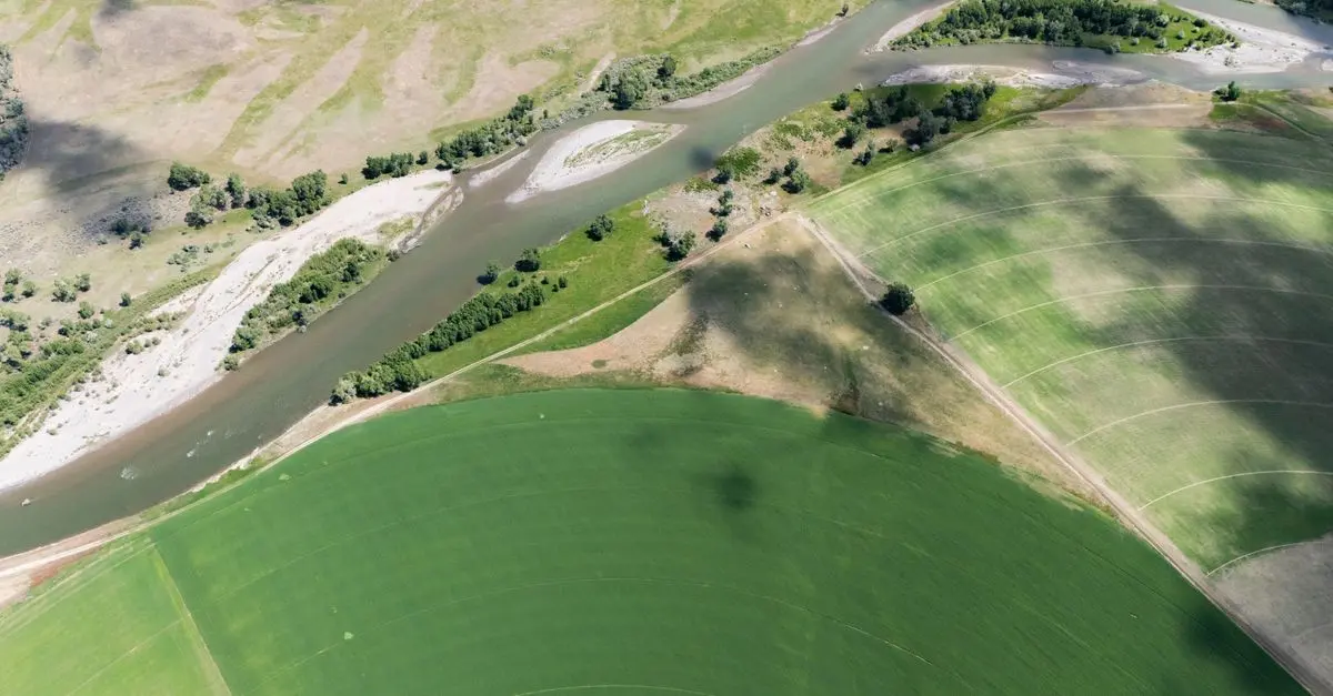 Comment optimiser la gestion de l'irrigation des cultures