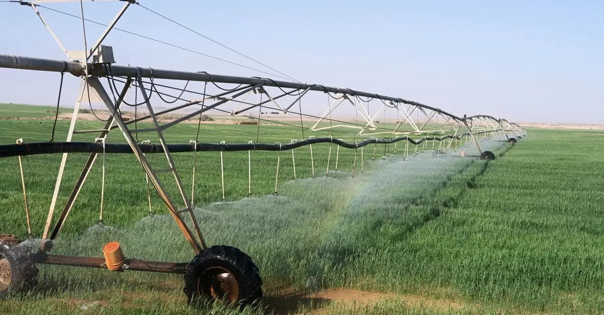 Comment Gérer l'Irrigation de vos Cultures en Fonction du Climat