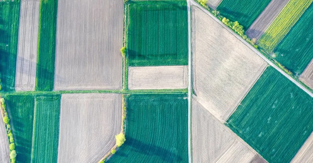 Les Meilleures Techniques pour Favoriser la Biodiversité dans vos Cultures
