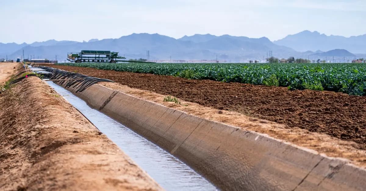Comment Évaluer l'Hydratation de vos Cultures Efficacement